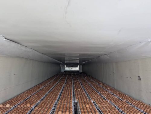 trucking-company-boise-id-arrowpoint-transport-5-11-2026-2