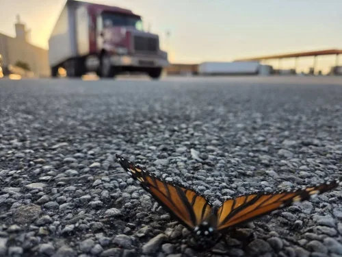 trucking-company-boise-id-arrowpoint-transport-9-7-2026-001